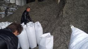 Россия вошла в лидеры по экспорту масличной продукции в Турцию